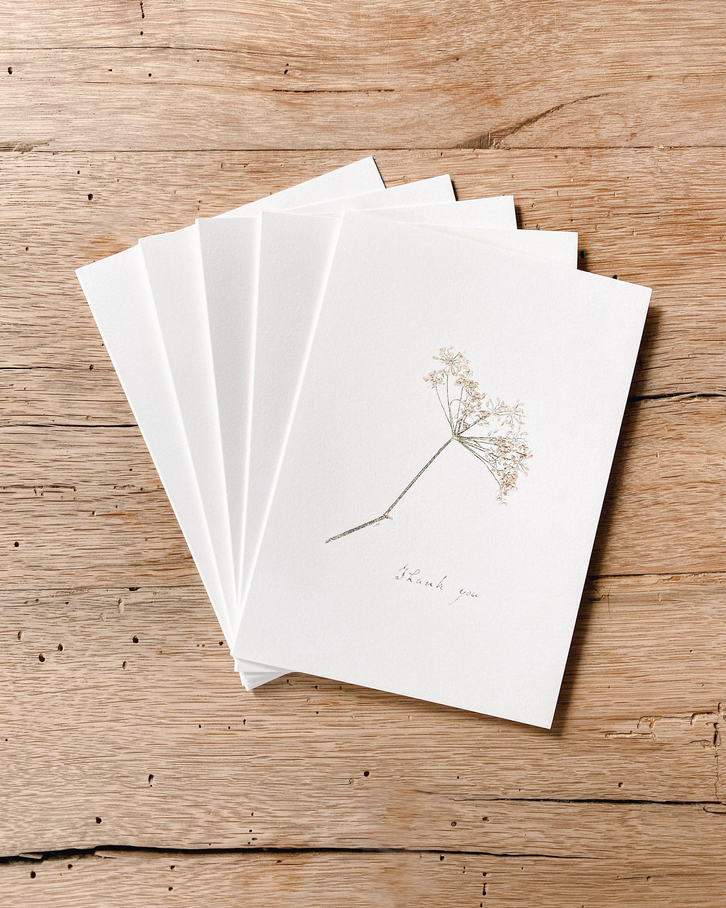 Botanical Cards - Pack of 5